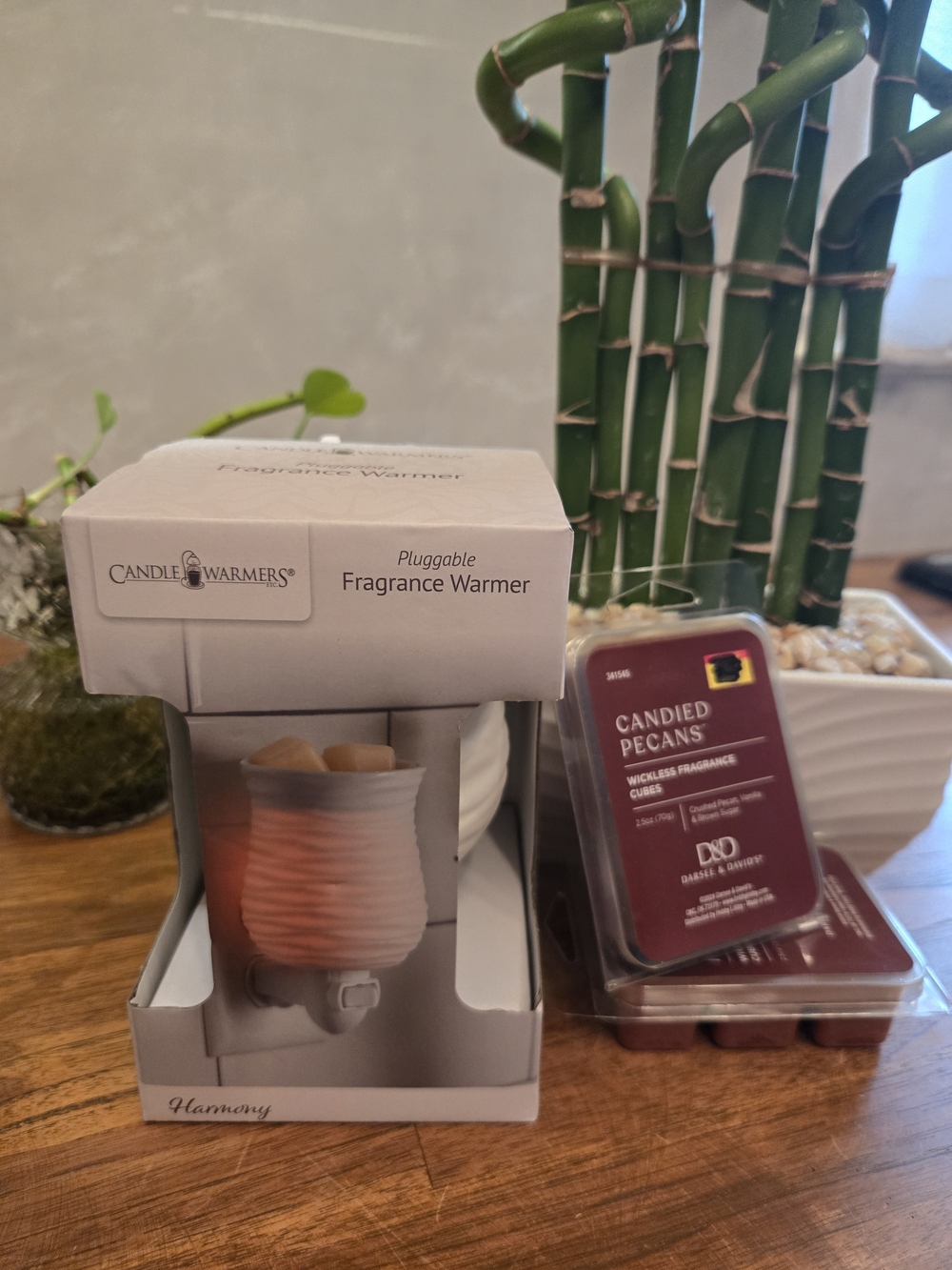 Candle Warmers Pluggable Autumn Fall Cozy Wax Melts Bundle NIB Cozy Pecans